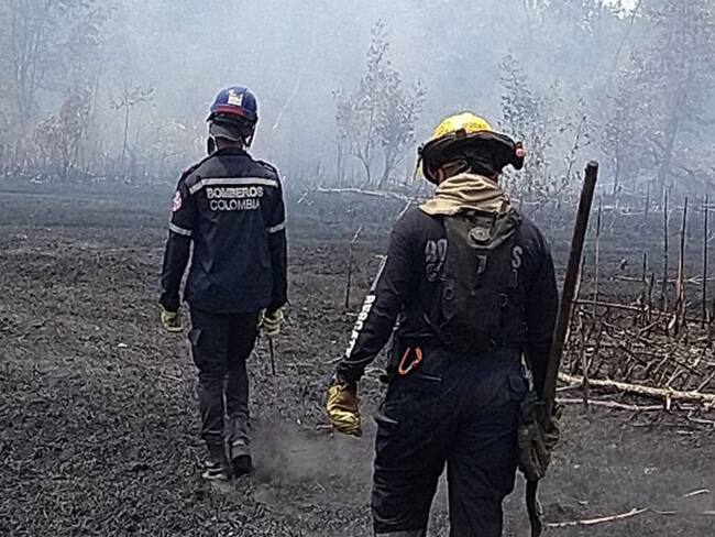 Se registra incendio forestal en la Ciénaga Grande de Santa Marta