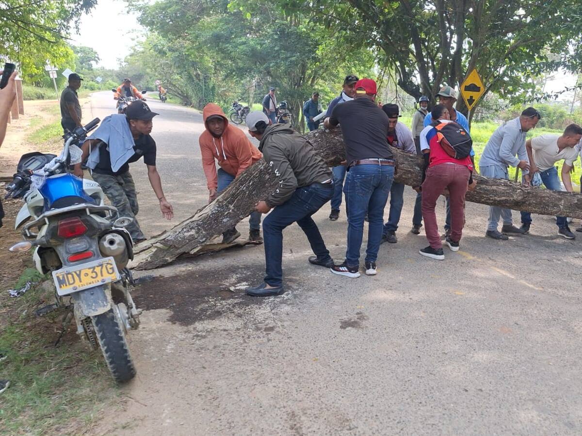 Agricultores de la Mojana apoyan el paro nacional arrocero