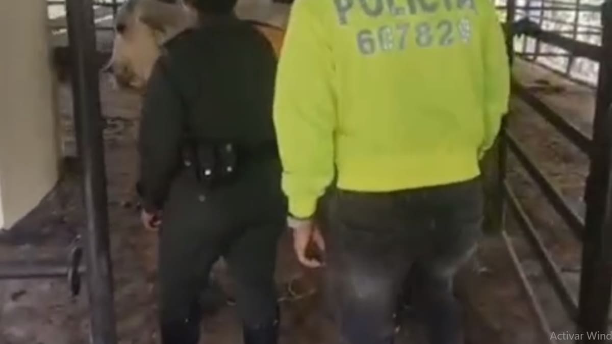 Coronel Alba Patricia Lancheros, comandante de la Policía del Quindío