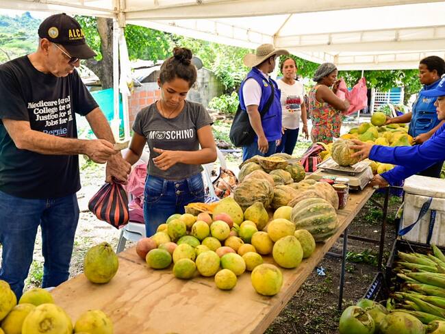 Alcaldía de Cartagena