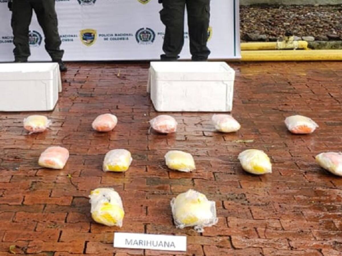 Incautan 14.000 gramos de marihuana que hacían pasar por alimentos