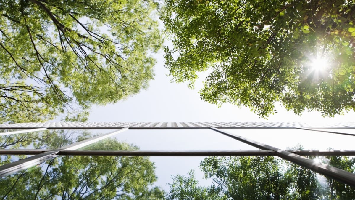 Abiertos los cupos para cursos virtuales sobre cremiento verde