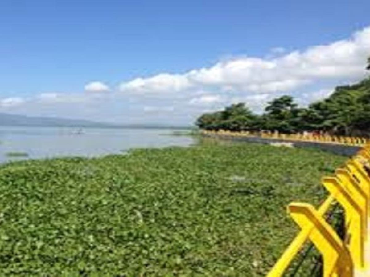 Por bajos niveles del río fue suspendida navegabilidad: Cormagdalena