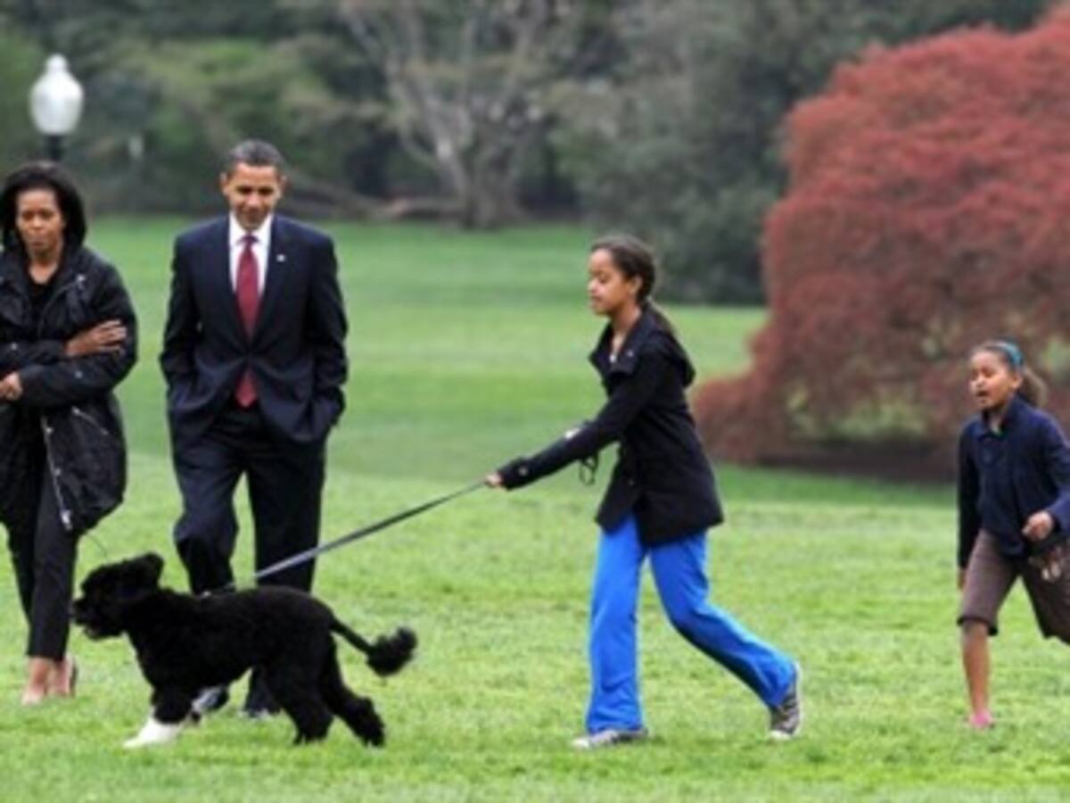 El perro de Barack Obama cuesta 1.600 dólares
