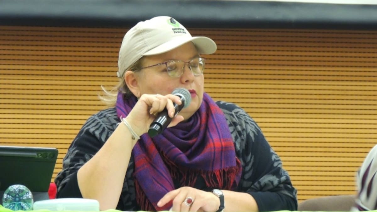 Directora del ICBF, Astrid Cáceres, denunció robo en su residencia y advirtió posible intimidación