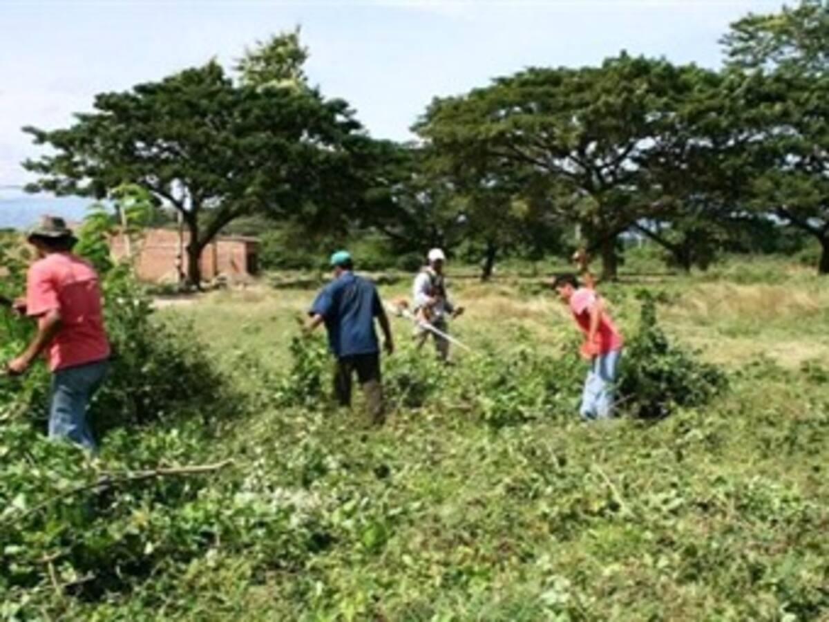 Presencia de Minagricultura en La Habana es decisión exclusiva de Santos: Agricultores