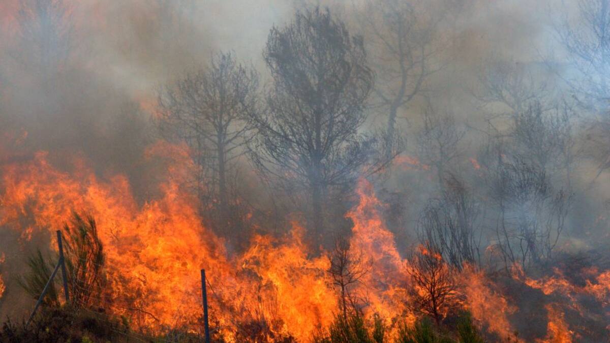 Incendio en Turmequé arrasó seis hectáreas de bosque nativo