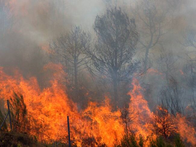 Incendio en Turmequé arrasó seis hectáreas de bosque nativo