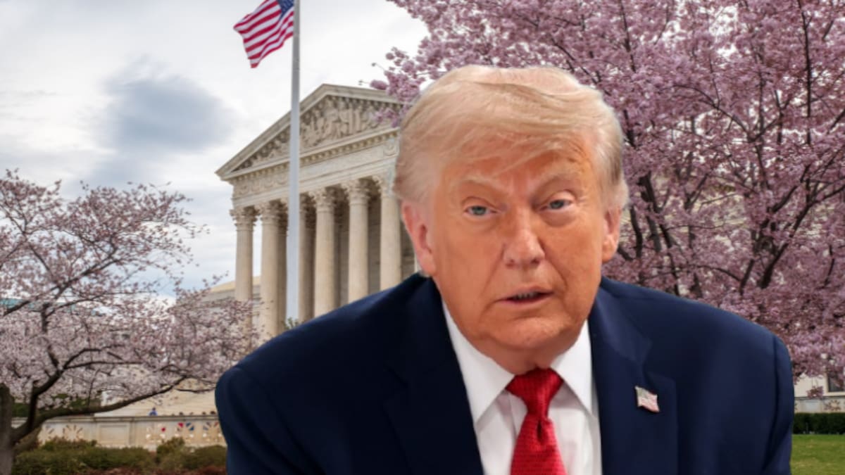 ICE, migración en Estados Unidos y Trump en el 2020