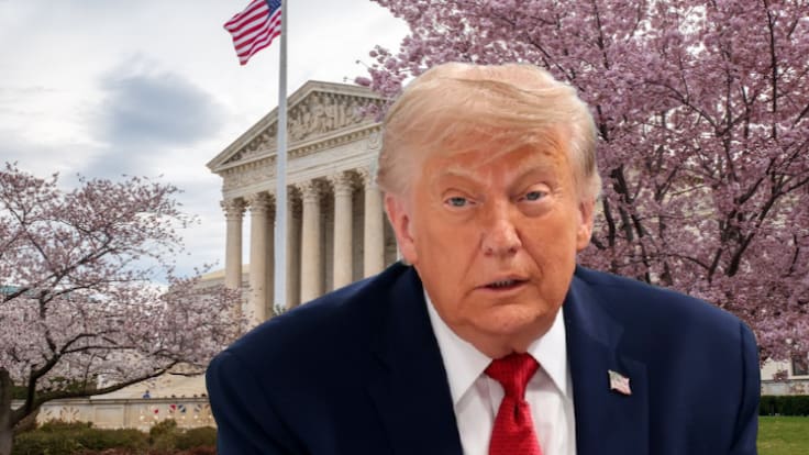 ICE, migración en Estados Unidos y Trump en el 2020
