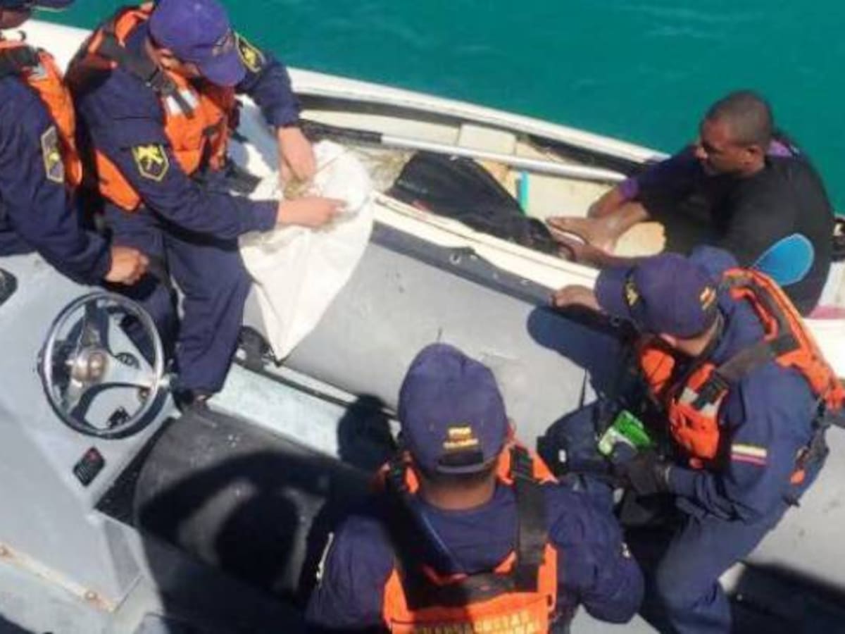 Armada Nacional recupera especies protegidas en las Islas del Rosario