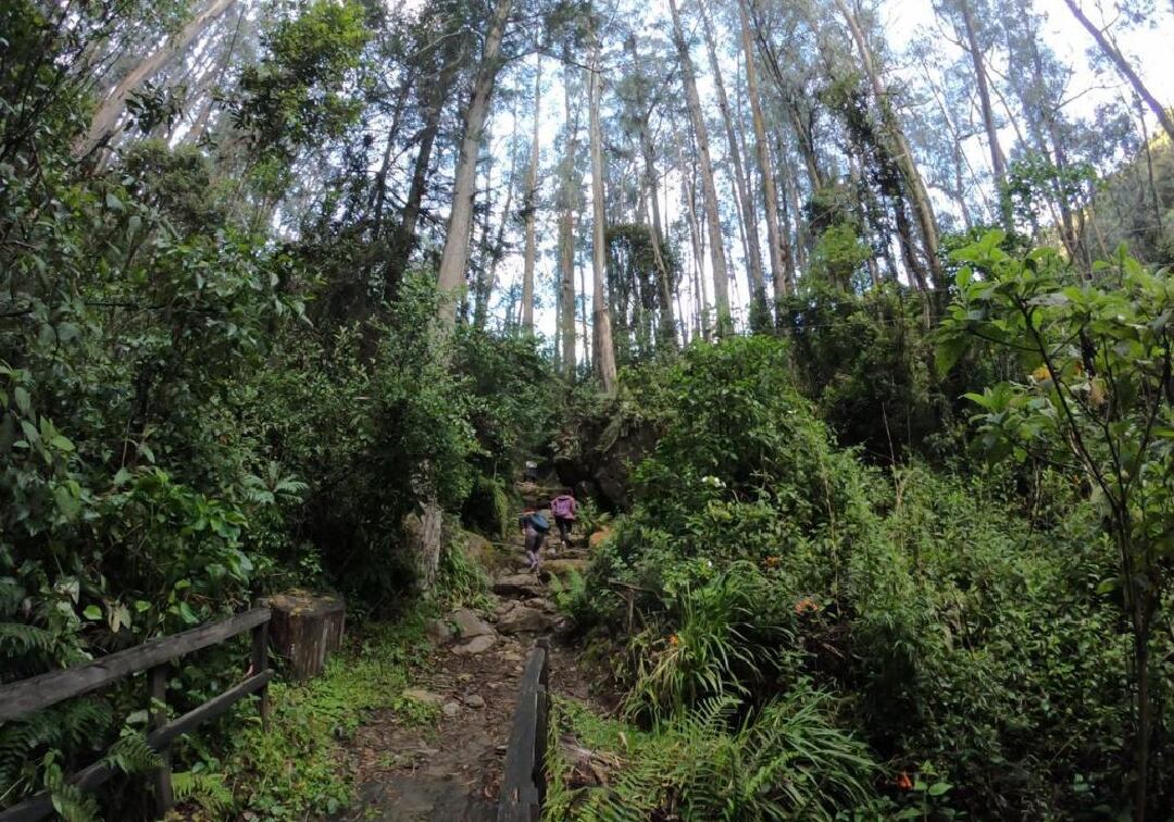 Cortesía Alcaldía de Bogotá