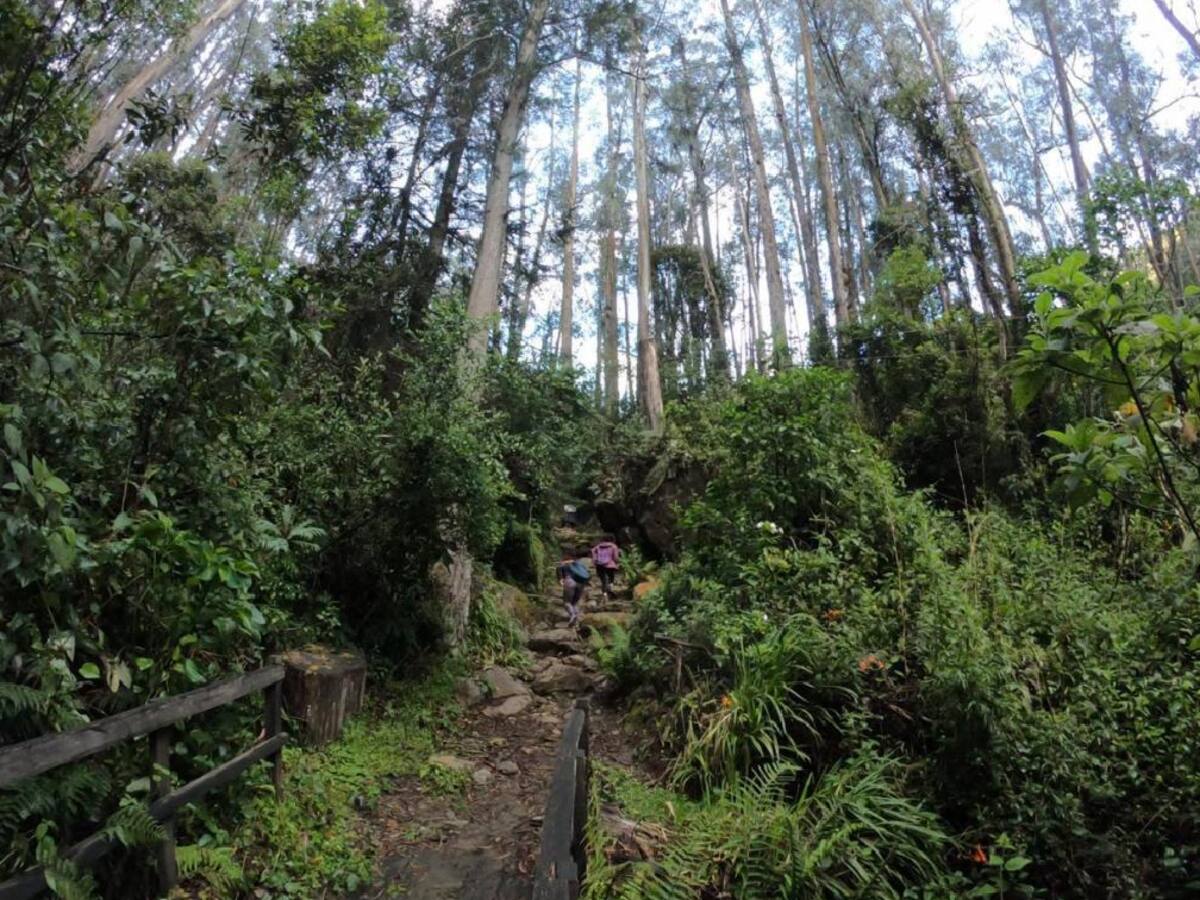 Empresa estaría invadiendo el espacio público en el norte de Bogotá