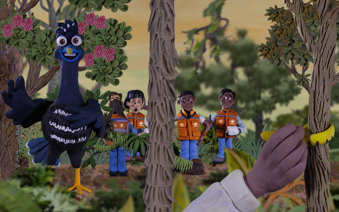 Capítulo 5: CRAX explica los principales pasos del Inventario Forestal Nacional