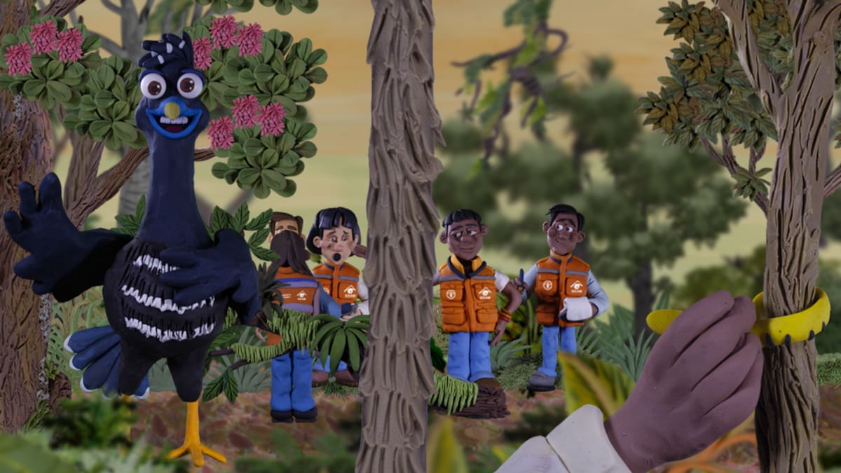 Capítulo 5: CRAX explica los principales pasos del Inventario Forestal Nacional