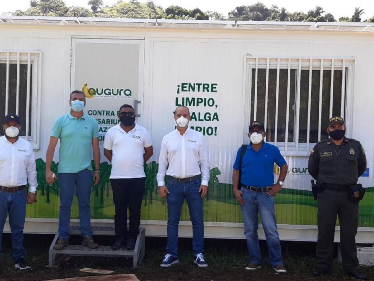 Augura y el ICA blindan la Zona Bananera del Magdalena del Fusarium R4T
