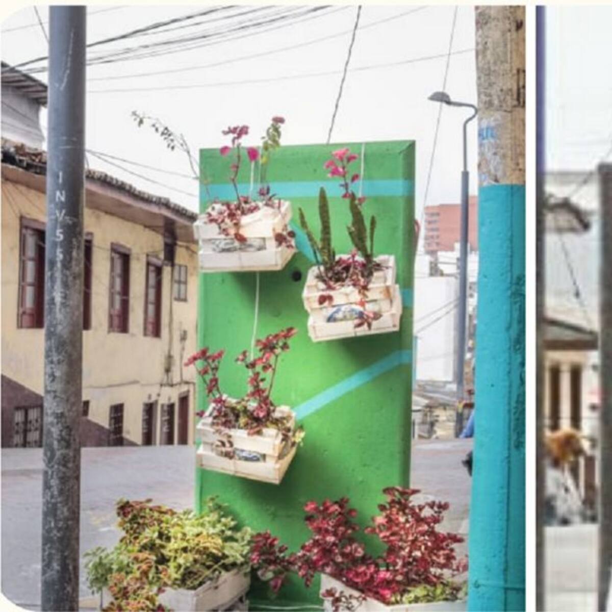 Focos de contaminación por basura se convierten en jardines