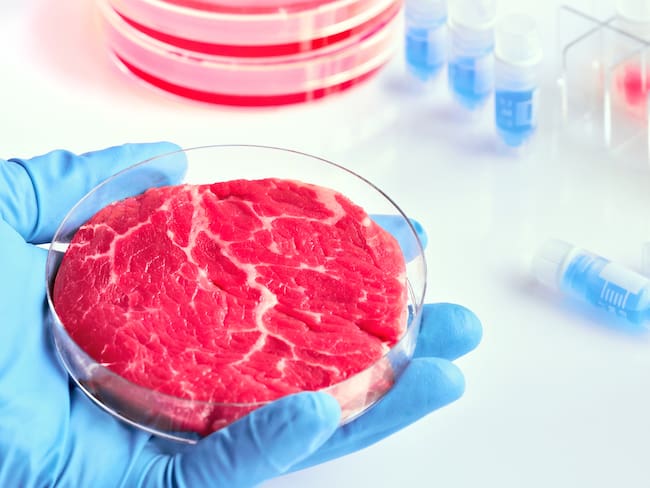 EE.UU. daría luz verde al consumo de carne cultivada en laboratorios // Getty Images