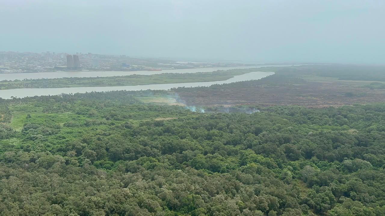 Imagen panoramica del incendio en Isla Salamanca. Foto: cortesía Parques Nacionales Naturales de Colombia.