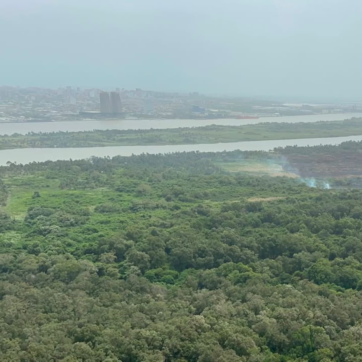 Controlan por completo el segundo incendio forestal en el Parque Isla Salamanca