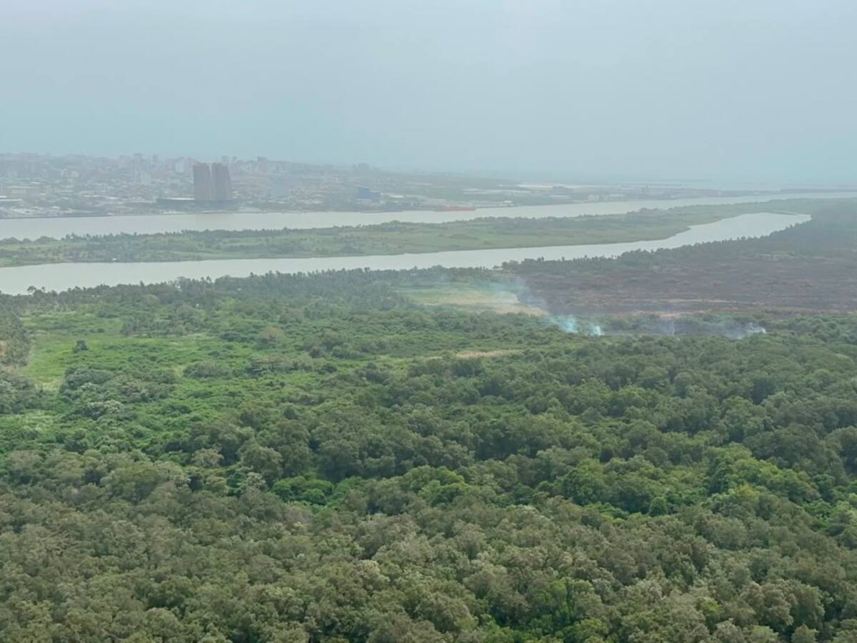 Controlan por completo el segundo incendio forestal en el Parque Isla Salamanca