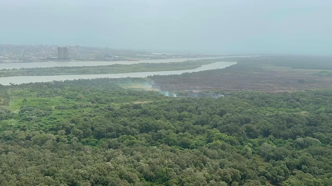 Imagen panoramica del incendio en Isla Salamanca. Foto: cortesía Parques Nacionales Naturales de Colombia.