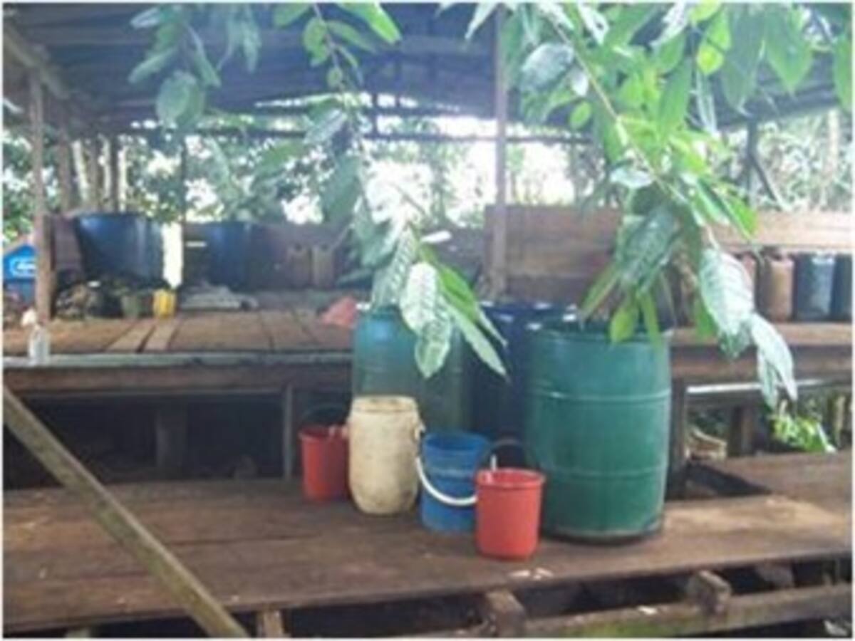 Ejército destruye laboratorios para el procesamiento de droga de las Farc en Antioquia y Nariño