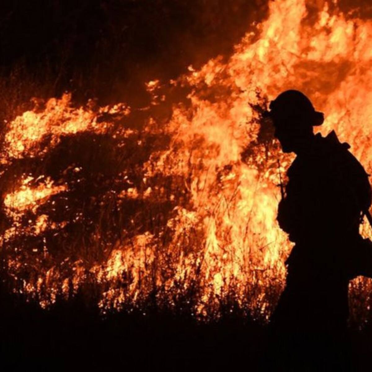 Alertas por incendios forestales en el 100% del departamento de Boyacá