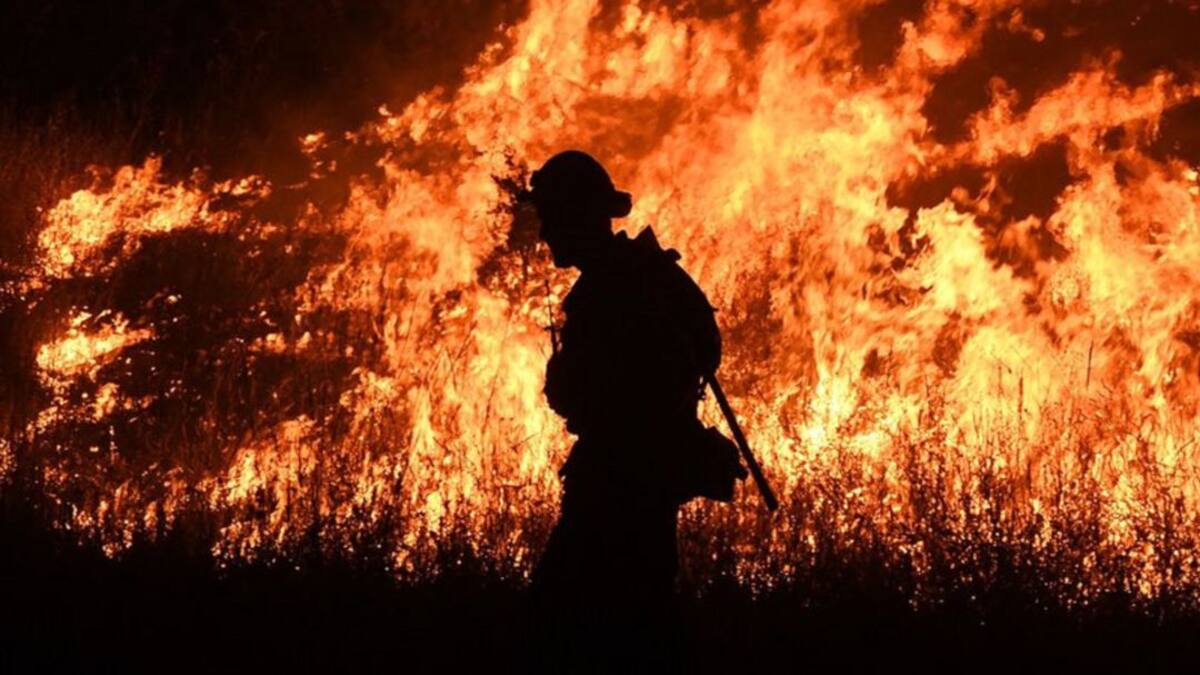 UPTC de Boyacá, patentó máquina para apagar incendios forestales