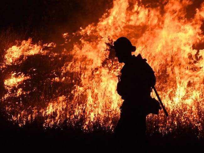 Incendios en Australia arrasan más de 500.000 hectáreas