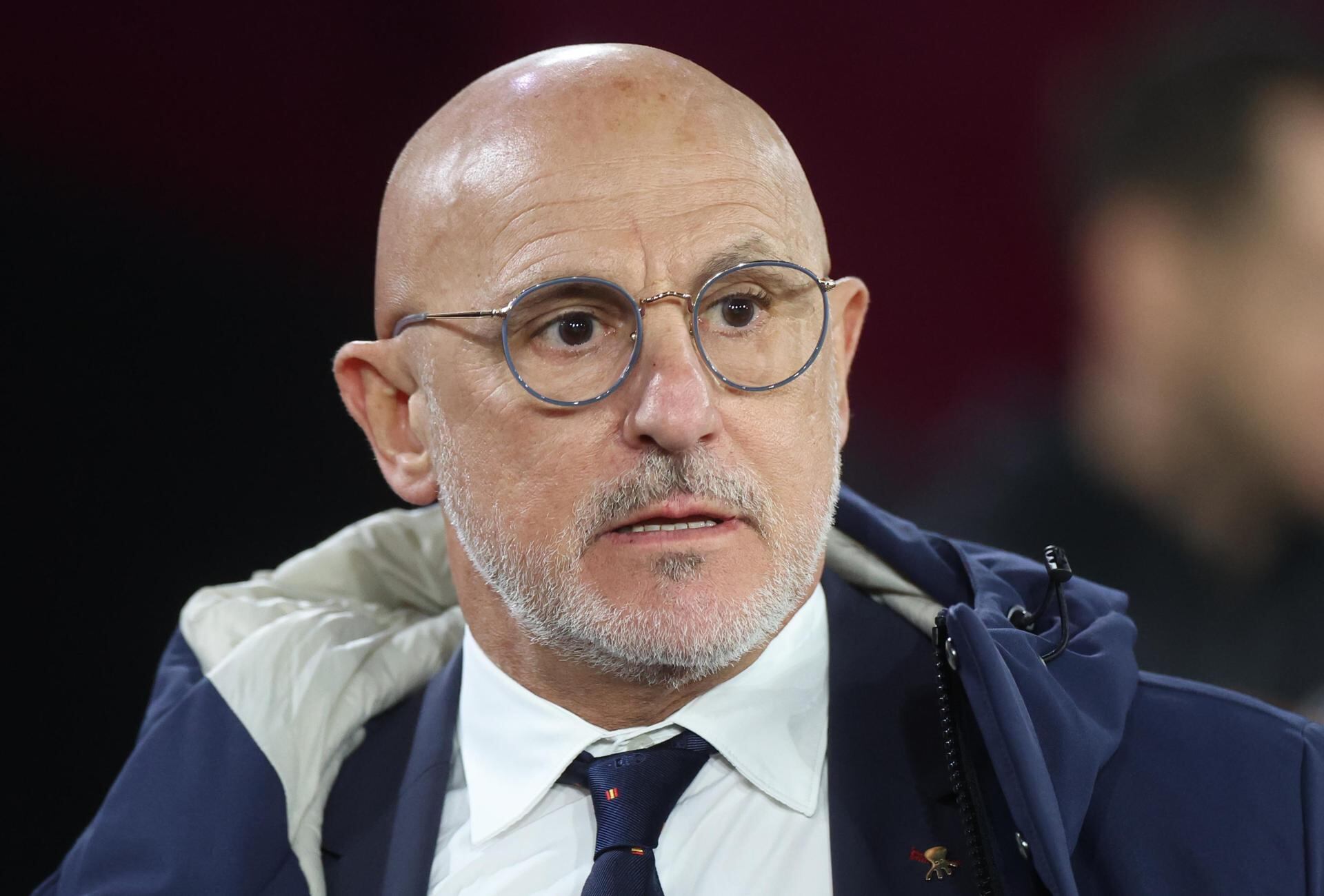 Luis de la Fuente, técnico de España / EFE