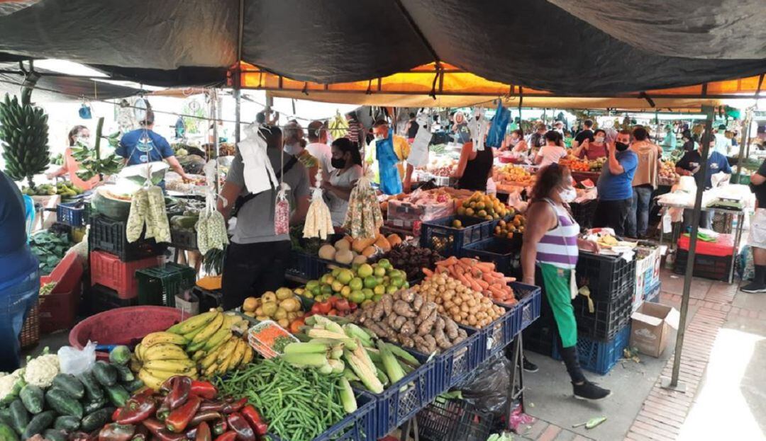 Realizarán monitoreo para evitar especulación de precios en Cúcuta