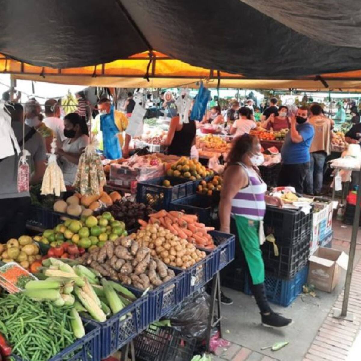 Realizarán monitoreo para evitar especulación de precios en Cúcuta