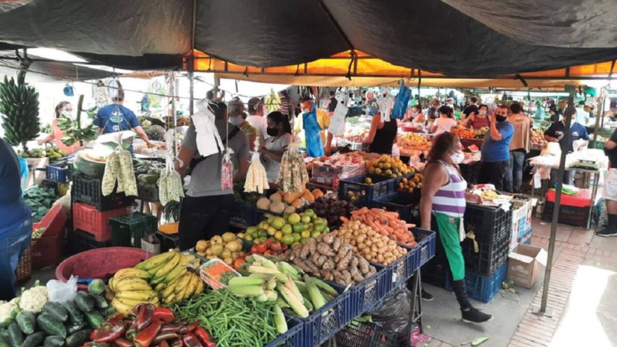 Realizarán monitoreo para evitar especulación de precios en Cúcuta