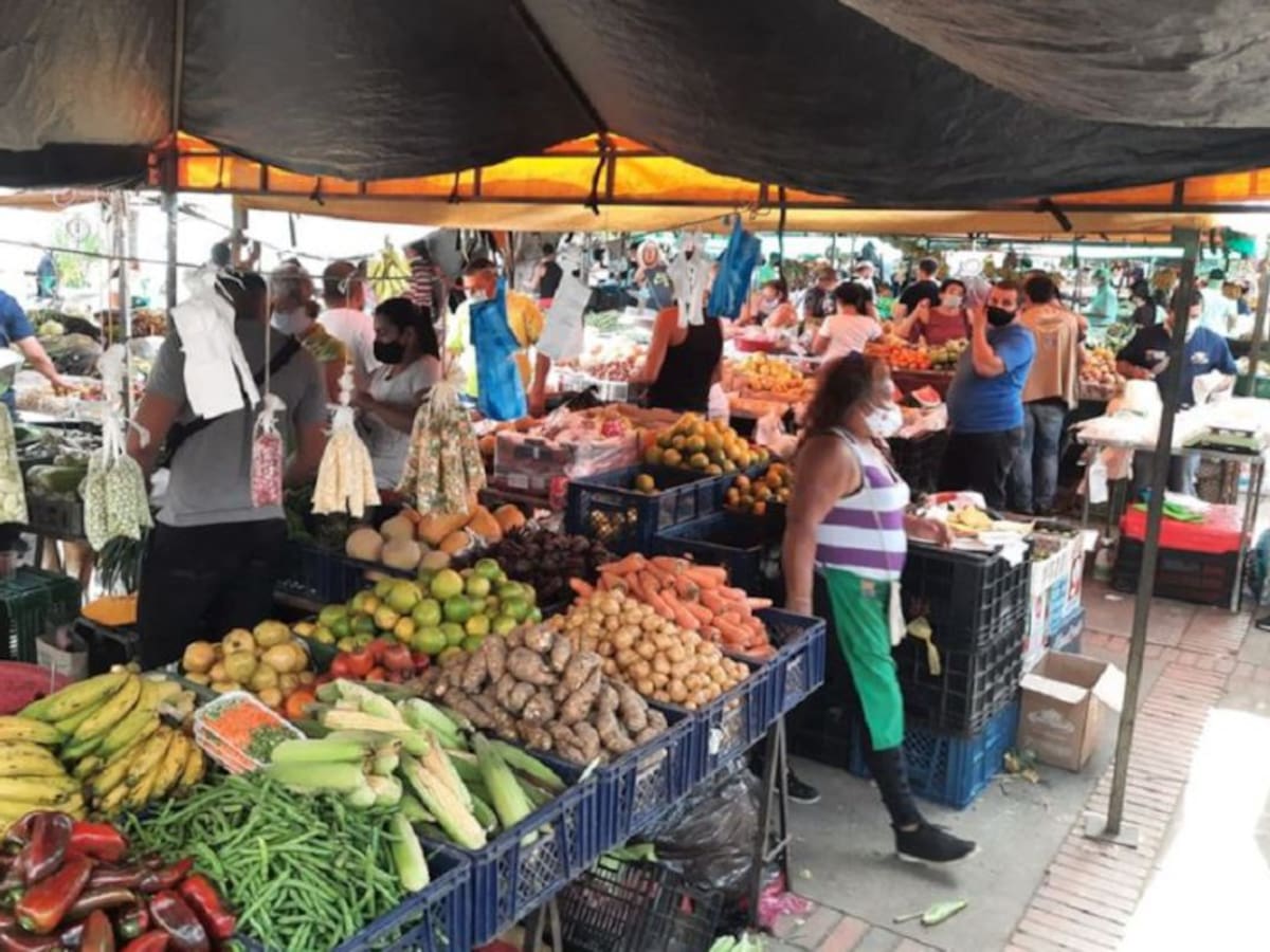 Realizarán monitoreo para evitar especulación de precios en Cúcuta