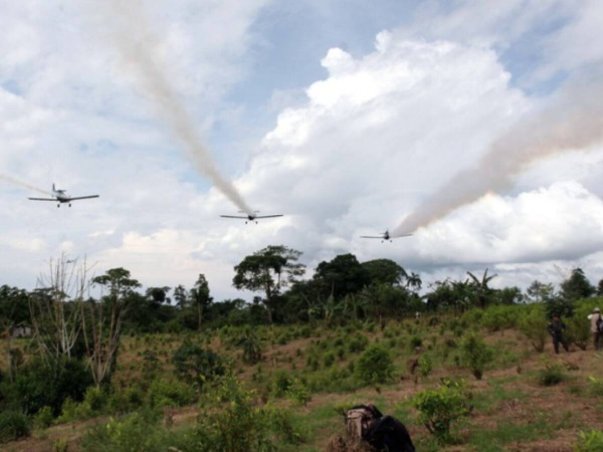 Santos descarta reanudar fumigación aérea contra cultivos ilícitos