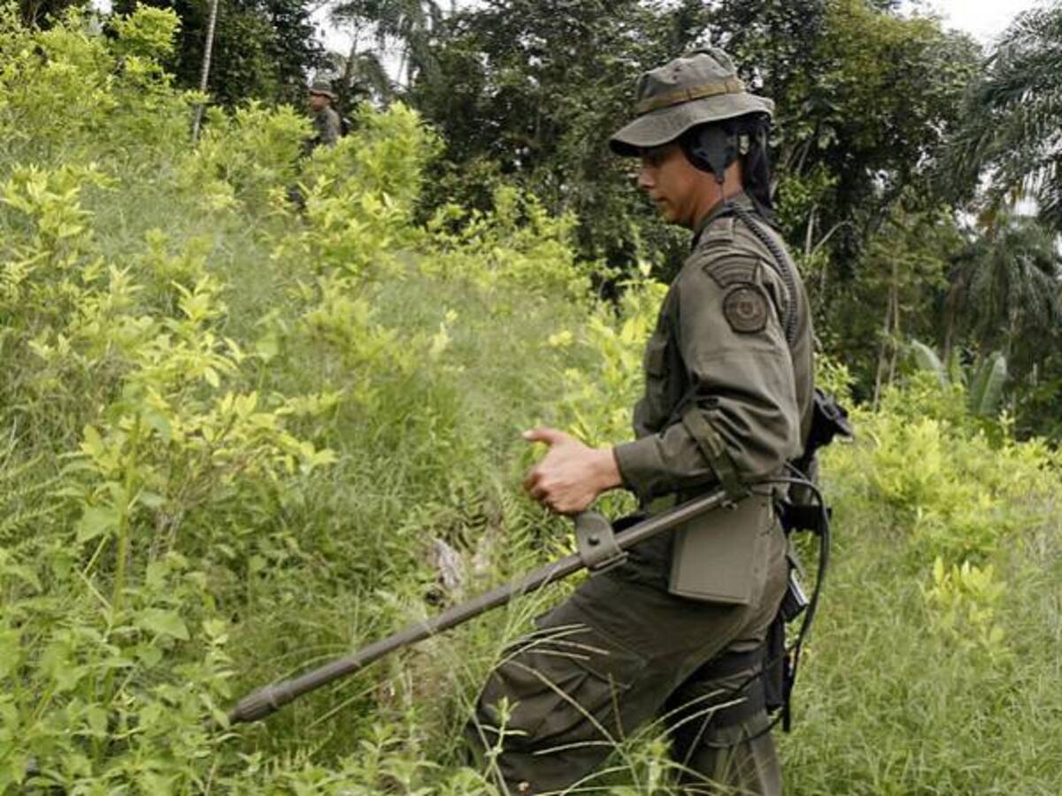 58.000 personas han sido beneficiadas por campaña contra minas antipersona
