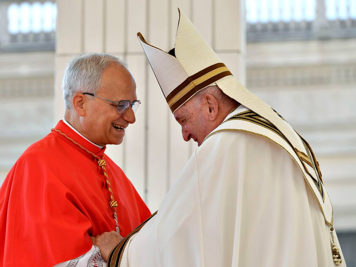 León XIV pide trabajar por la justicia ecológica en línea con la encíclica del papa Francisco