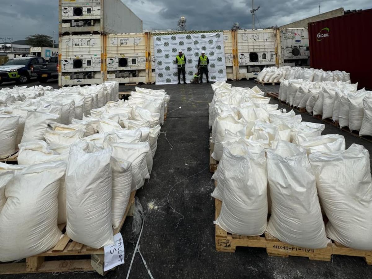 En Santa Marta caen 4.1 toneladas de cocaína camuflada en harina, un golpe al narcotráfico