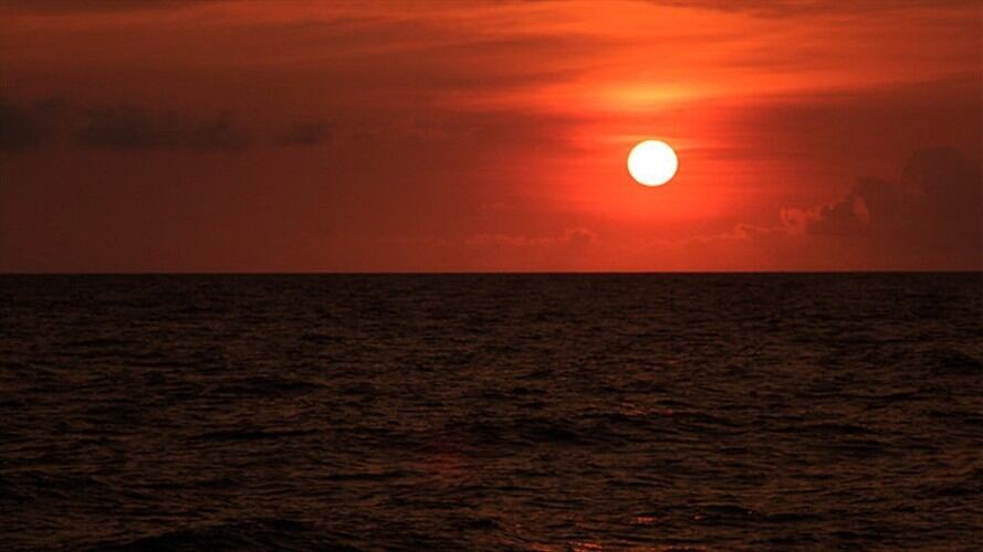 Imagen de referencia. Foto: Colprensa