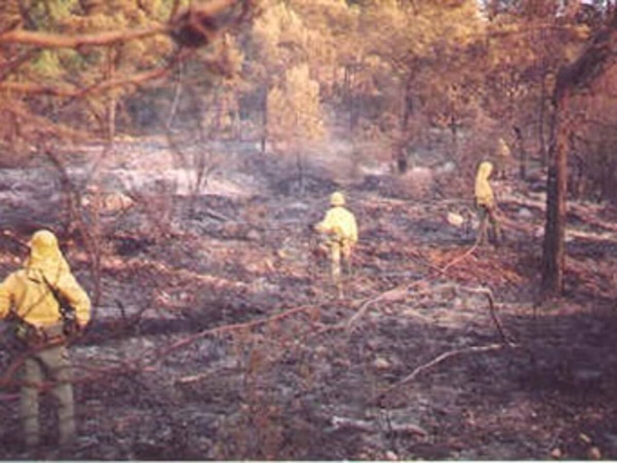 300.000 millones de dólares es la cifra por los daños causados en Rusia, debido a incendios forestales