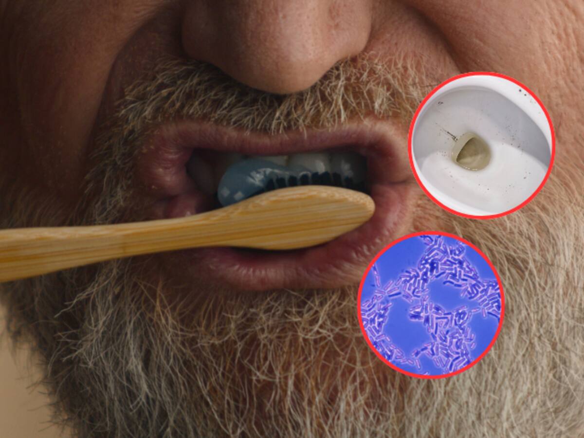 3 artículos de baño que debe desechar cuanto antes, según médico de Harvard