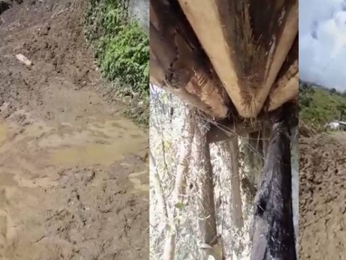 Se estarían perdiendo los productos agrícolas por falta de vías en Ibagué