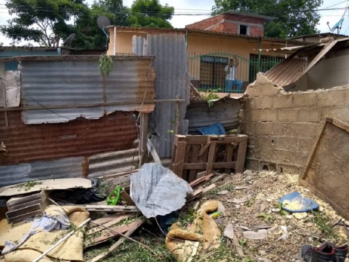 Árbol destruye una vivienda en el barrio 'La Pajarera' de Cartagena