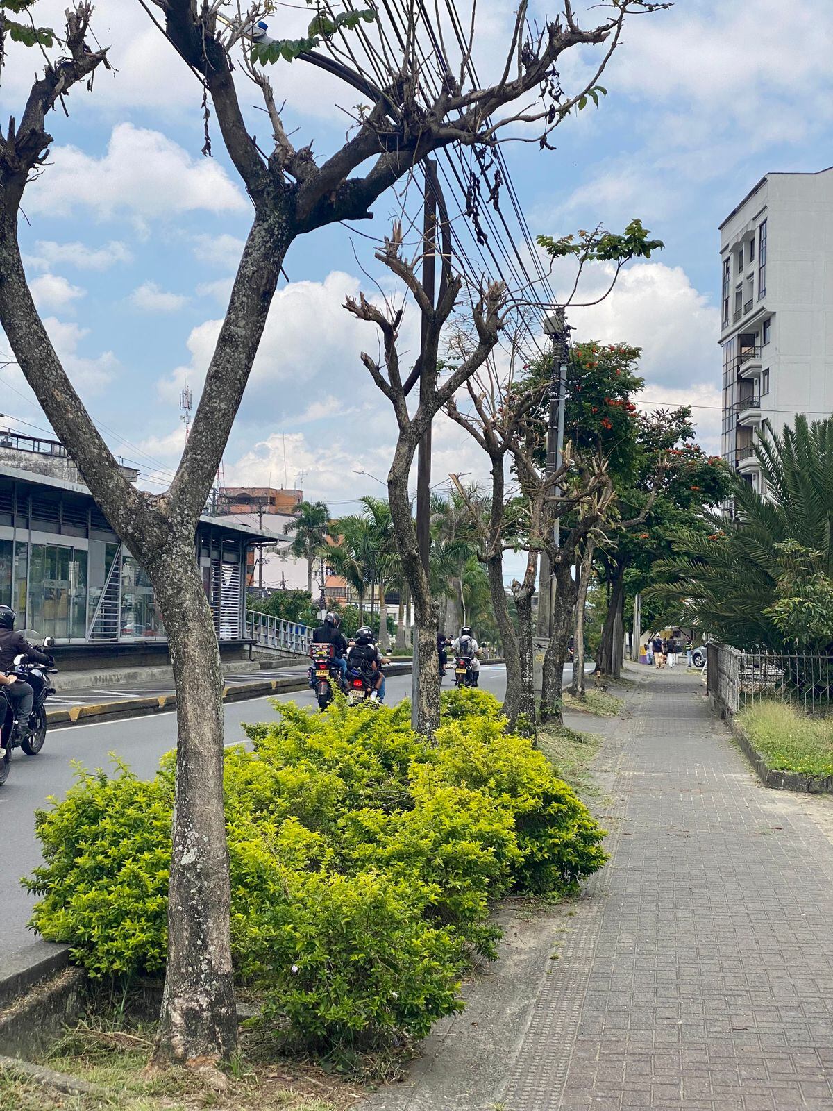 Foto suminsitrada: Alcaldía de Pereira