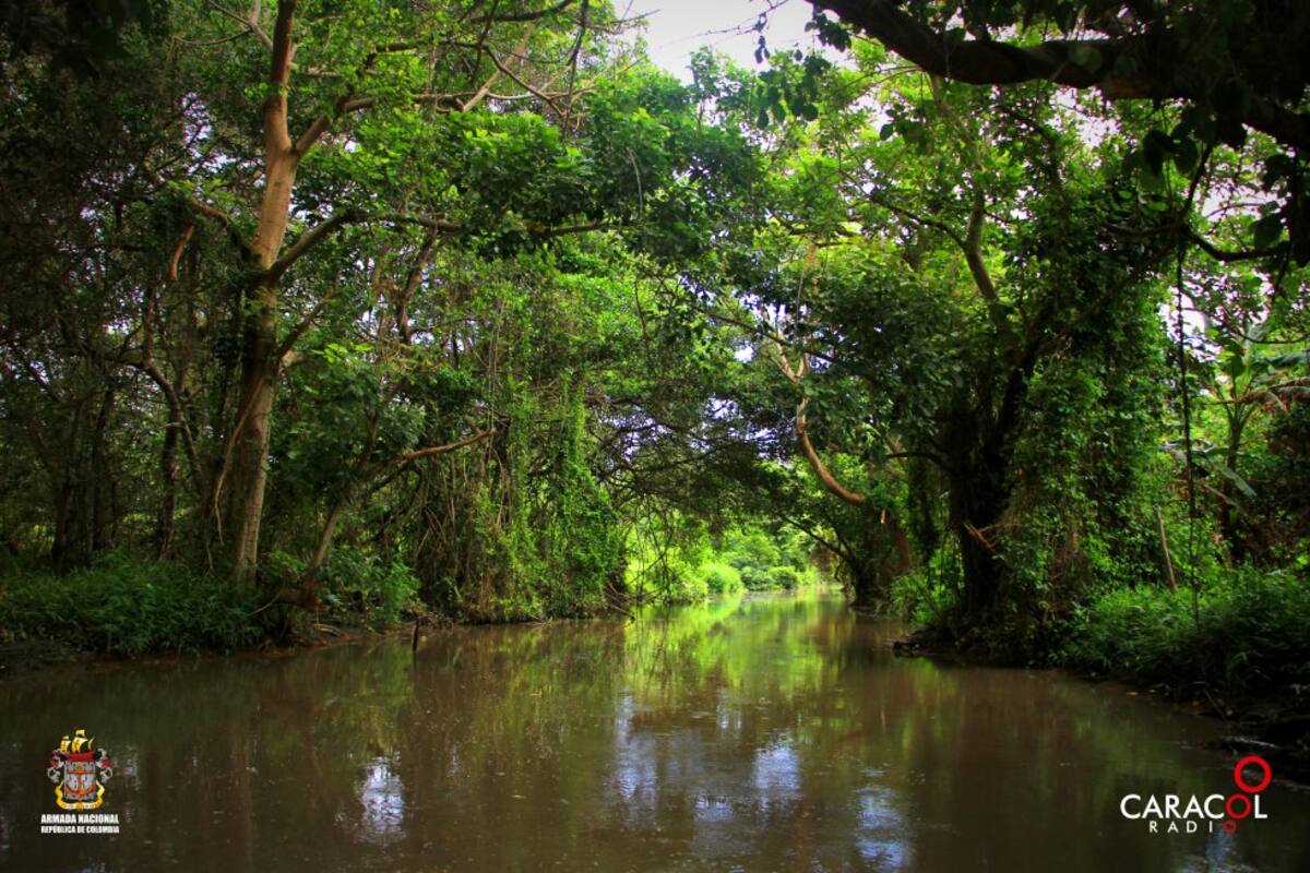 Turistas hacen recorridos por el Parque Isla Salamanca, conociendo la biodiversidad de la reserva