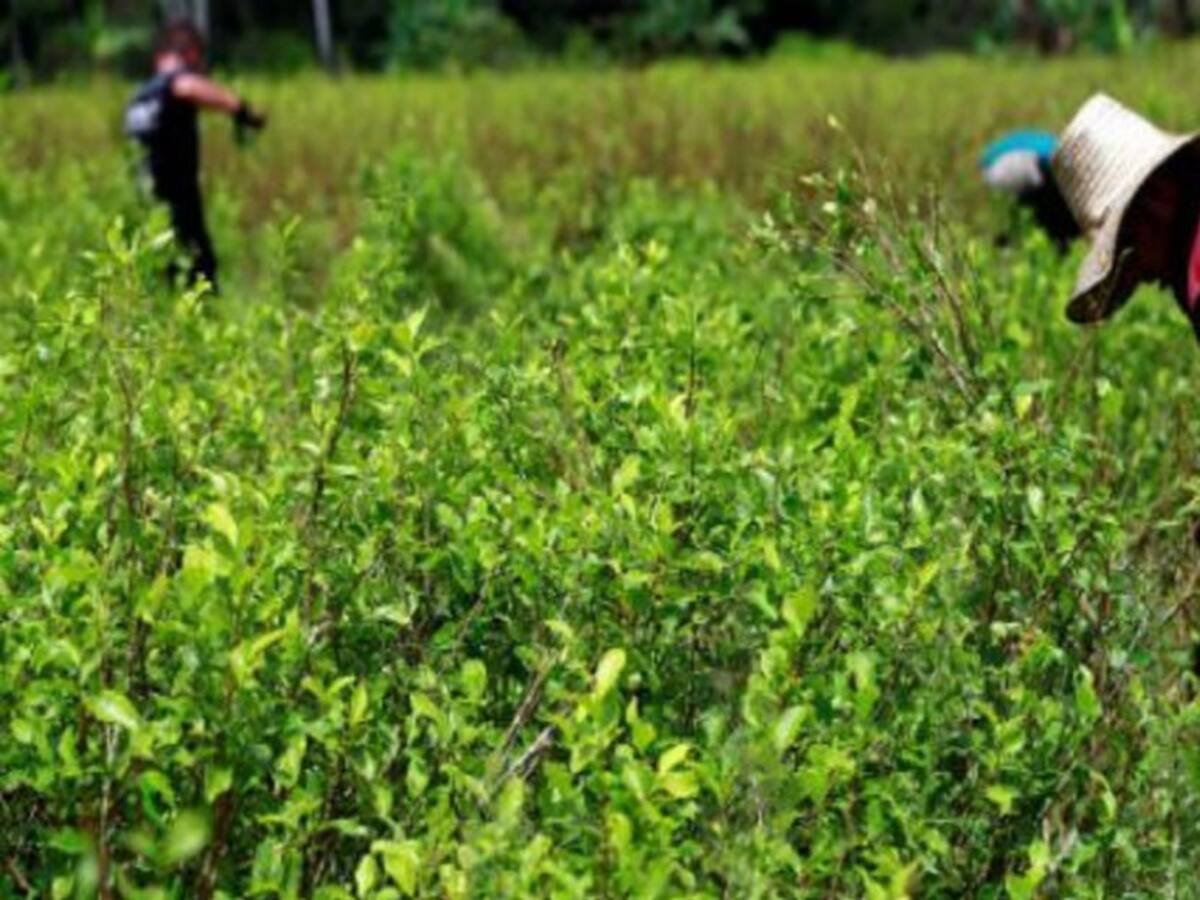 Actores armados disputan control de territorios en Santander