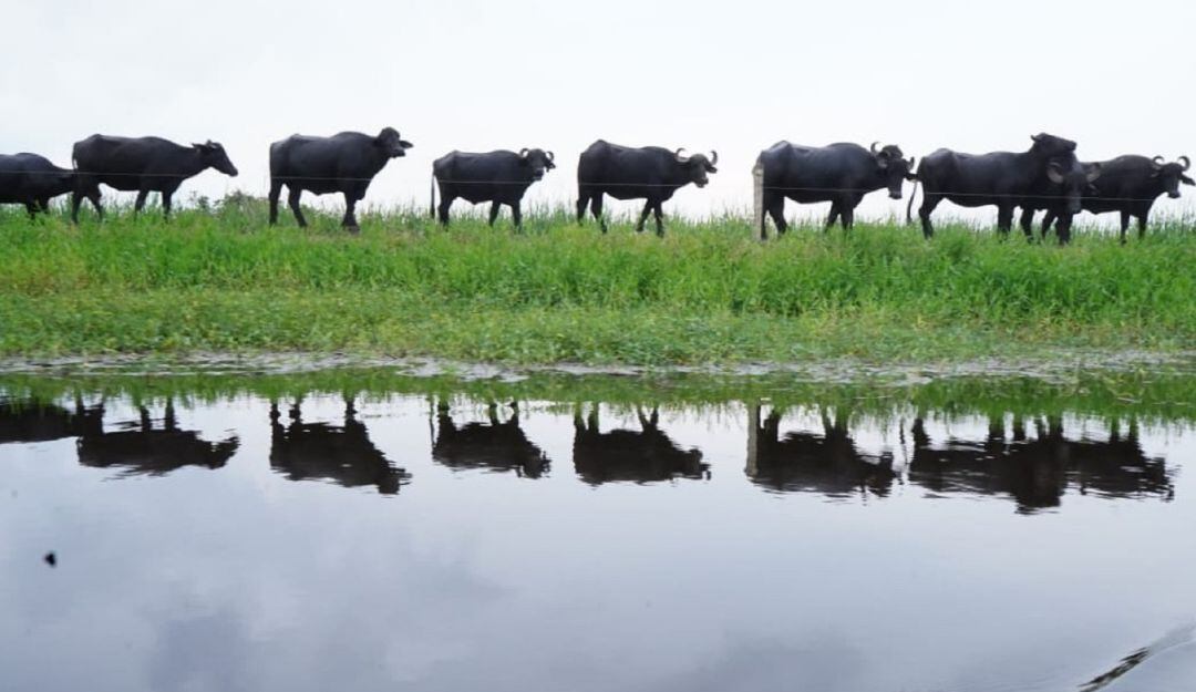 Emergencia de lluvias en Sucre