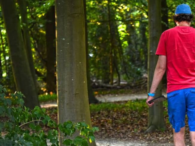 Imagen de referencia