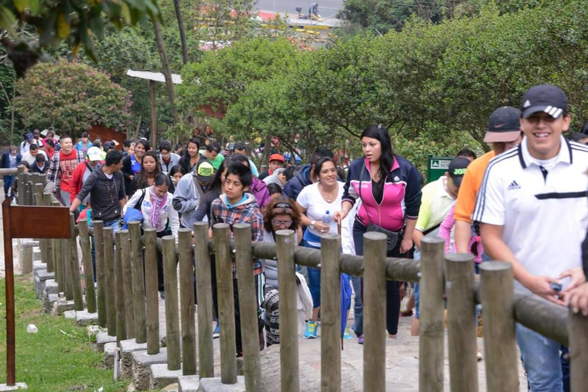 Se han registrado miles de visitantes, un promedio de 3.000 personas por hora, es decir unos 50 personas por minuto. Se espera que el total de las visitas sea alrededor de 65.000.